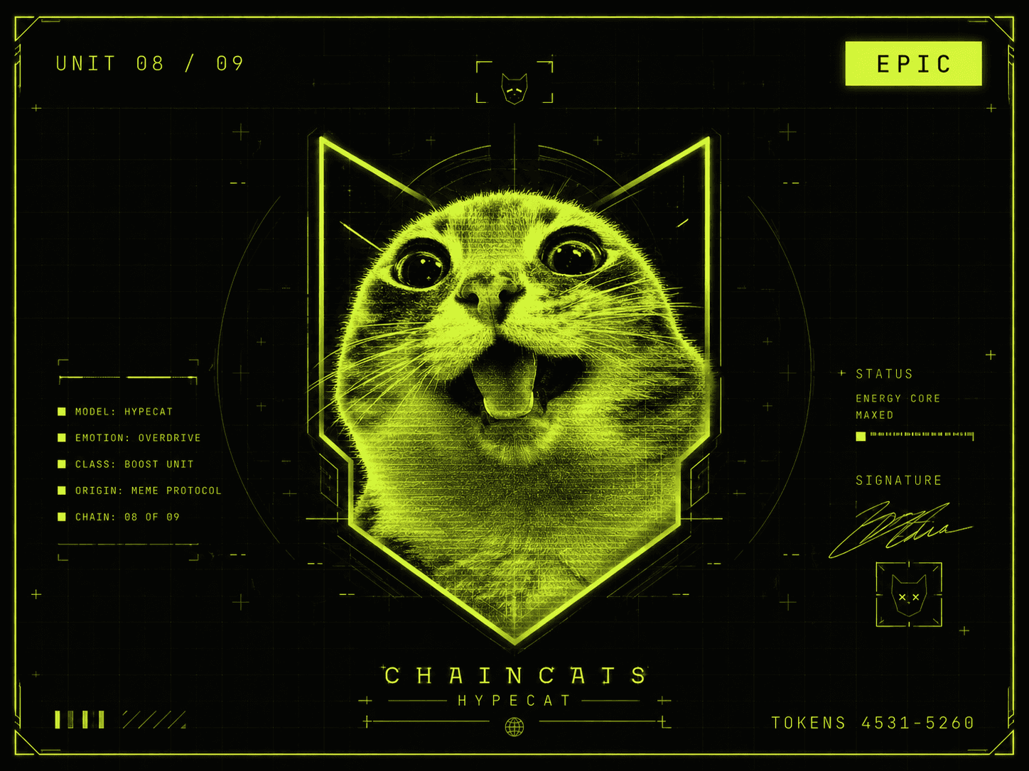 HYPECAT — the 1/1 Original